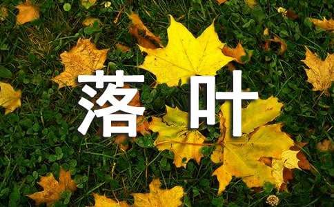 描寫(xiě)落葉作文11篇【精選】