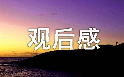 三大隊觀后感（精選15篇）