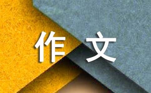 “時(shí)評(píng)類”作文寫作指導(dǎo)