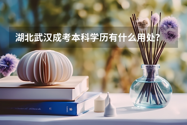 湖北武漢成考本科學(xué)歷有什么用處？