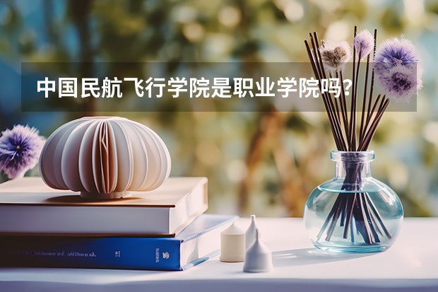 中國民航飛行學院是職業(yè)學院嗎？