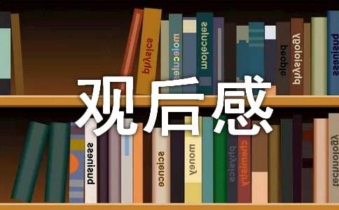 平安行觀后感（通用19篇）