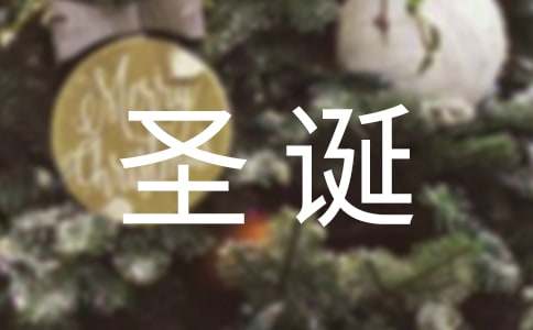 圣誕節(jié)二年級作文（精選40篇）