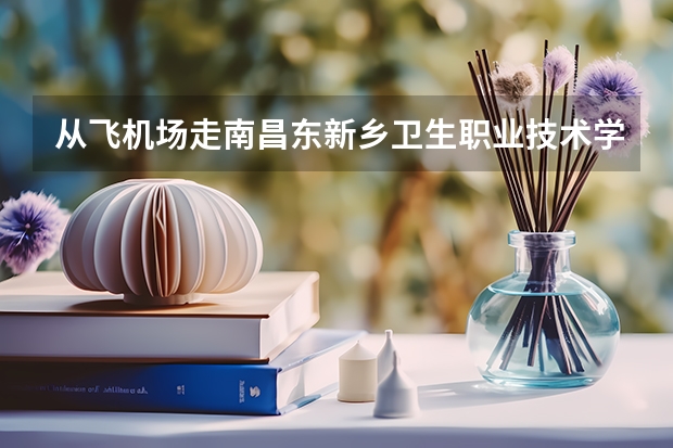 從飛機場走南昌東新鄉(xiāng)衛(wèi)生職業(yè)技術(shù)學怎么走