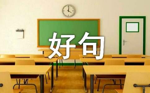 關于外貌描寫的好句（通用310句）
