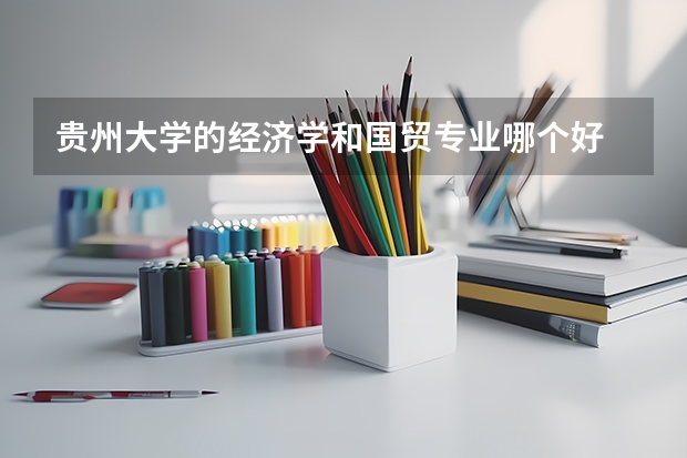 貴州大學的經(jīng)濟學和國貿(mào)專業(yè)哪個好