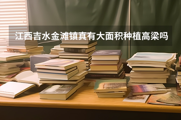 江西吉水金灘鎮(zhèn)真有大面積種植高梁嗎？