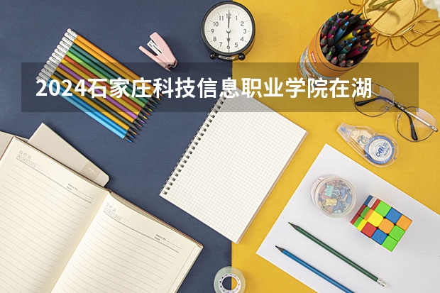 2024石家莊科技信息職業(yè)學院在湖南怎么招生的