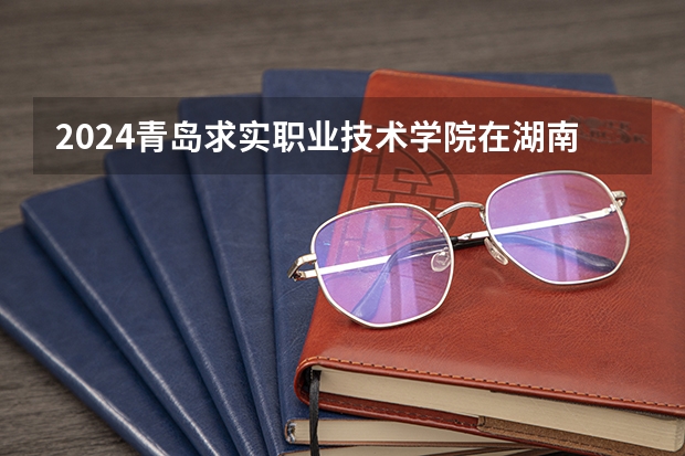 2024青島求實職業(yè)技術(shù)學(xué)院在湖南怎么招生的