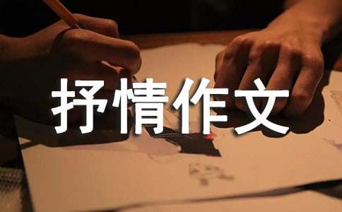 我夢(mèng)中的橋抒情作文（精選16篇）