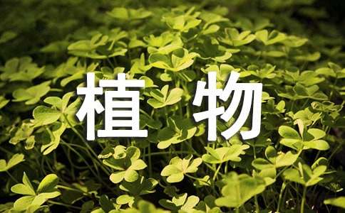 關(guān)于植物的擬人句130句