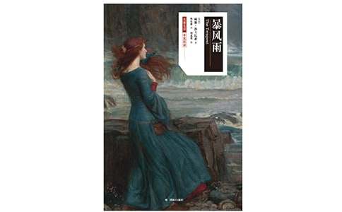 五年級(jí)暴風(fēng)雨作文（精選20篇）