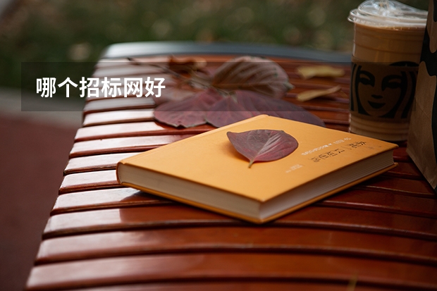哪個招標(biāo)網(wǎng)好