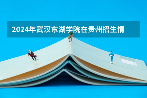 2024年武漢東湖學院在貴州招生情況