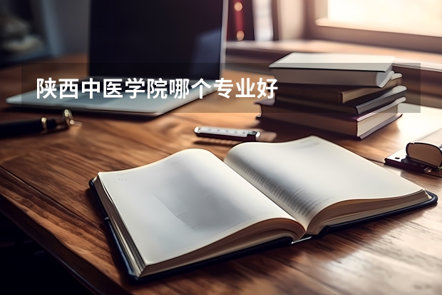 陜西中醫(yī)學(xué)院哪個(gè)專業(yè)好