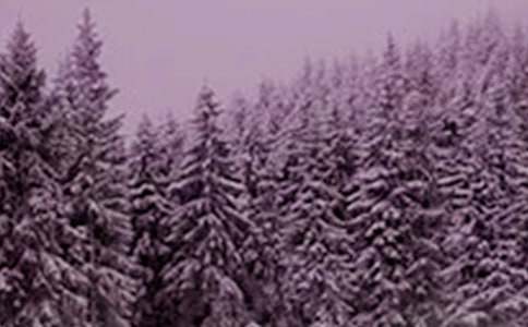 24節(jié)氣小雪的優(yōu)秀諺語(yǔ)150句