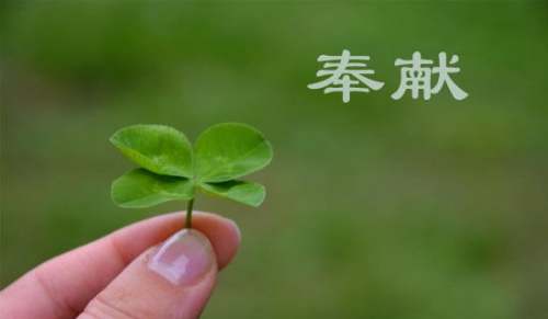 形容奉獻(xiàn)的好句450句