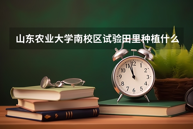 山東農(nóng)業(yè)大學南校區(qū)試驗田里種植什么