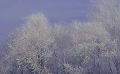 關(guān)于小雪的節(jié)氣的諺語110句