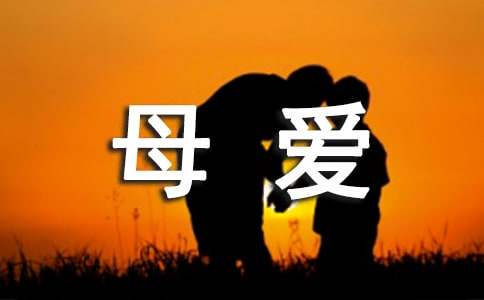 我懂得了母愛(ài)優(yōu)秀作文500字（通用33篇）