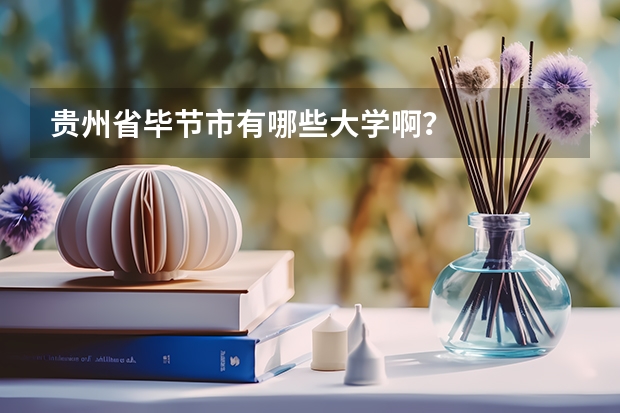 貴州省畢節(jié)市有哪些大學啊？