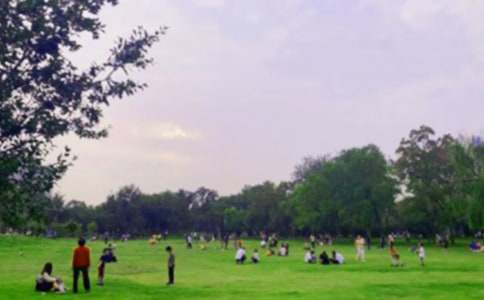 西郊公園作文