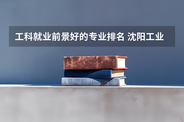 工科就業(yè)前景好的專業(yè)排名 沈陽(yáng)工業(yè)大學(xué)文科專業(yè)排名？