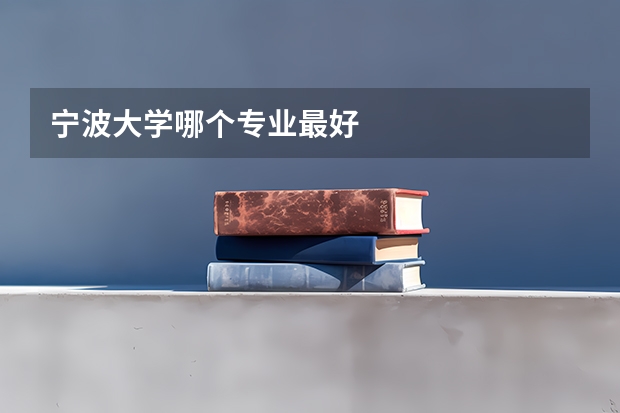 寧波大學(xué)哪個(gè)專業(yè)最好