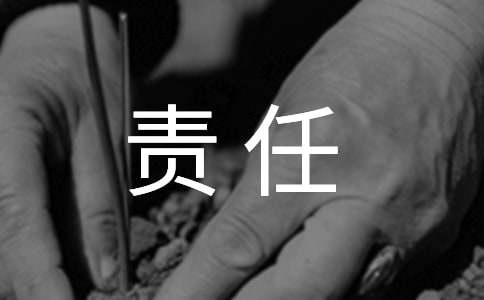 我的責(zé)任我擔(dān)當(dāng)高三作文450字（精選16篇）