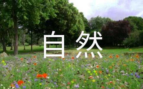 自然風(fēng)光的經(jīng)典諺語260句