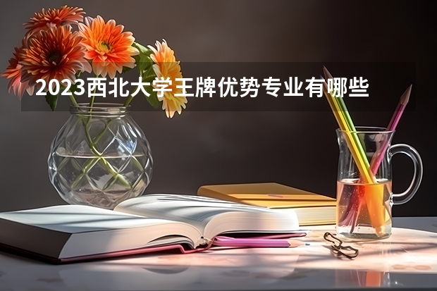 2023西北大學(xué)王牌優(yōu)勢專業(yè)有哪些