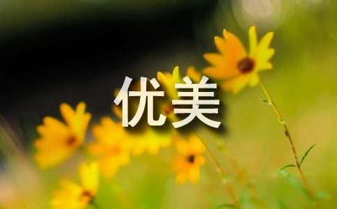 描寫楓樹的優(yōu)美段落推薦110段