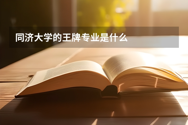 同濟大學(xué)的王牌專業(yè)是什么