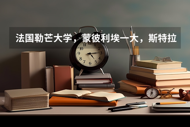法國勒芒大學(xué)，蒙彼利埃一大，斯特拉斯堡大學(xué)，貝桑松大學(xué)的經(jīng)濟(jì)類專業(yè)如何？
