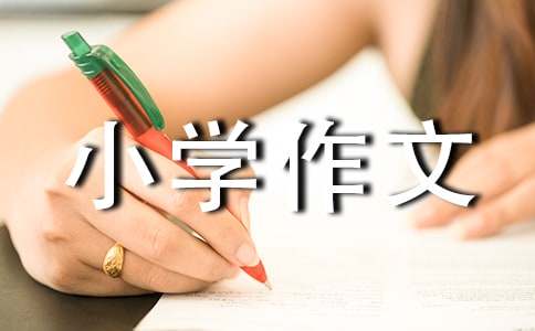 做自己的主人小學作文（精選25篇）