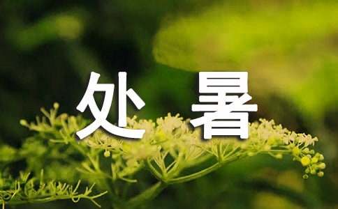 關(guān)于處暑的諺語(yǔ)