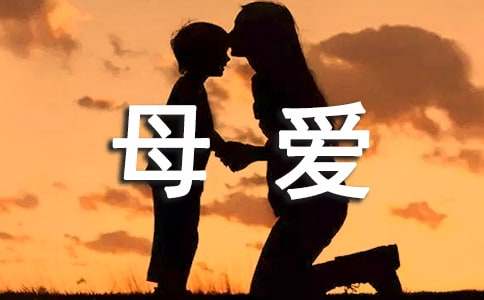 關(guān)于母愛伴我成長作文800字（精選5篇）