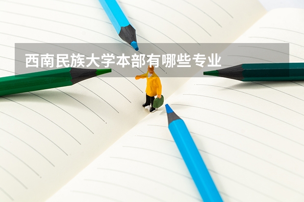 西南民族大學(xué)本部有哪些專業(yè)