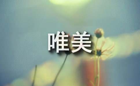 2024年唯美動(dòng)聽的歌詞4條