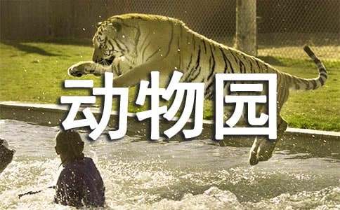小小動(dòng)物園的四年級(jí)作文（精選48篇）