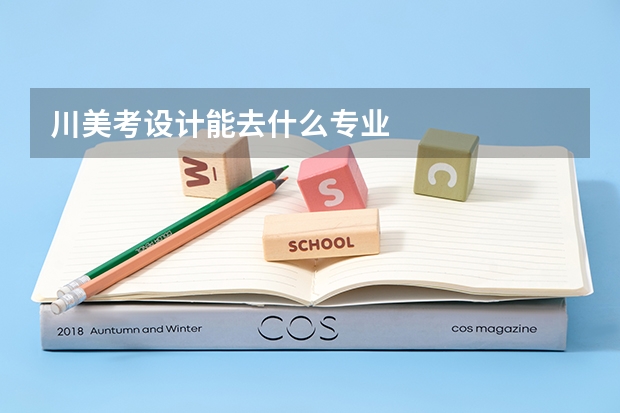 川美考設計能去什么專業(yè)