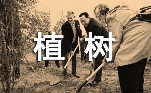植樹的希望看圖作文