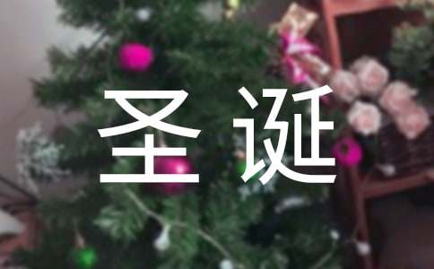 關(guān)于圣誕節(jié)的三年級作文（精選31篇）