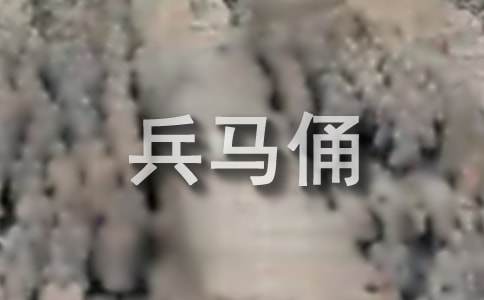 秦兵馬俑初中說(shuō)明文作文（精選16篇）