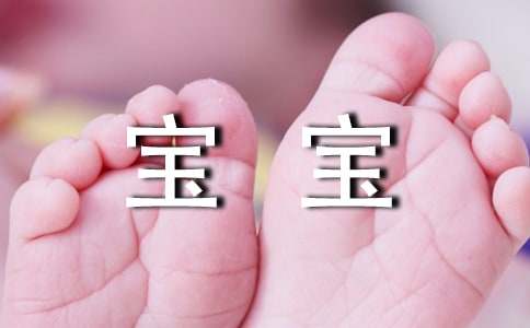 蠶寶寶出生記四年級(jí)作文