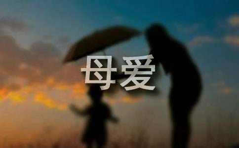 母愛作文300字「優(yōu)秀」