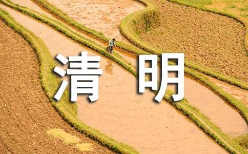 關(guān)于清明作文500字3篇