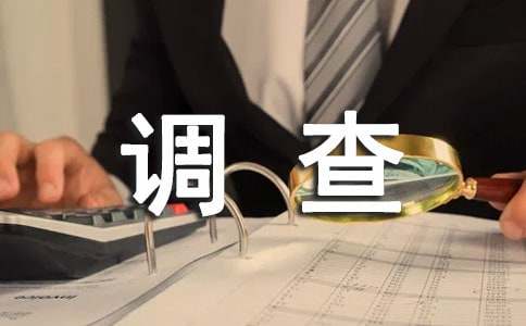 大學(xué)消費調(diào)查報告