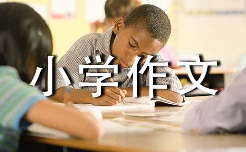 我當(dāng)評委小學(xué)作文