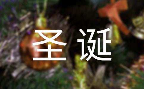 一年級(jí)圣誕節(jié)作文